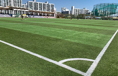 잔디축구장