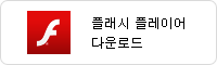 플래시 플레이어 다운로드